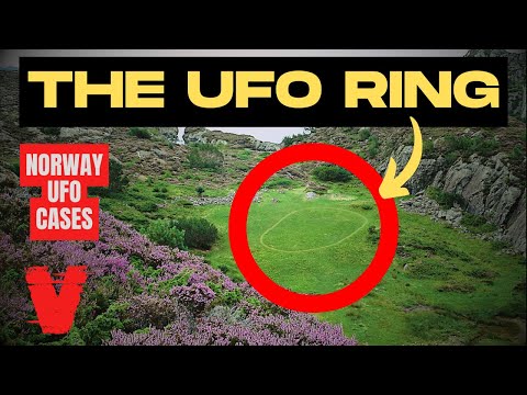 UFO Sightings: New Evidence and Expert Insights