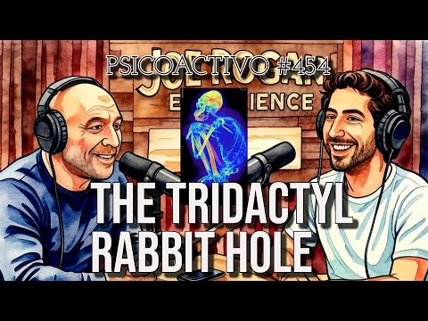Jesse Michels Discusses UFOs on Joe Rogan Experience