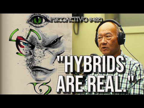 CIA Insider Reveals Secret Hybrid and USO Programs