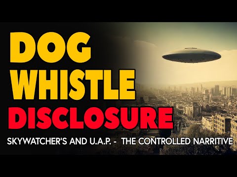 Legacy Files: UFO Disclosure & Consciousness Debate