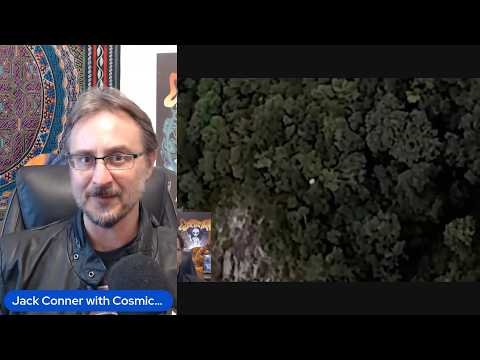 UFO Orbs: A Call for Scientific Investigation