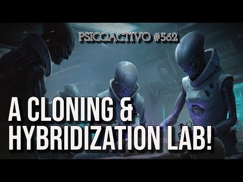 Unveiling the Nazca Tridactyls: Hybridization Insights