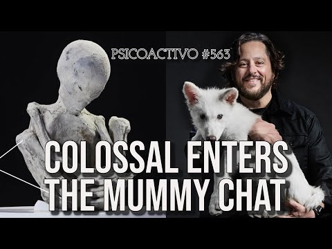 Jesse Michels' UFO Revelation: Nazca Tridactyls Mystery
