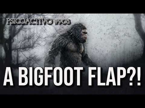 Ohio Bigfoot Flap