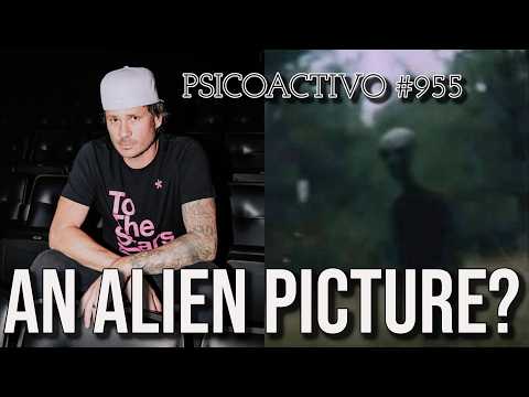 DeLonge's Alien Pic