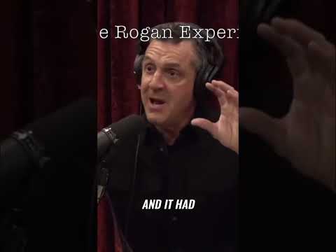 Logan Paul's UFO Video