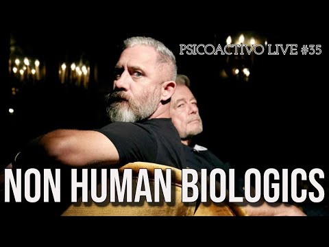 UFO Insights