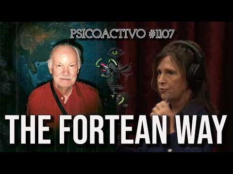 UFO Insights